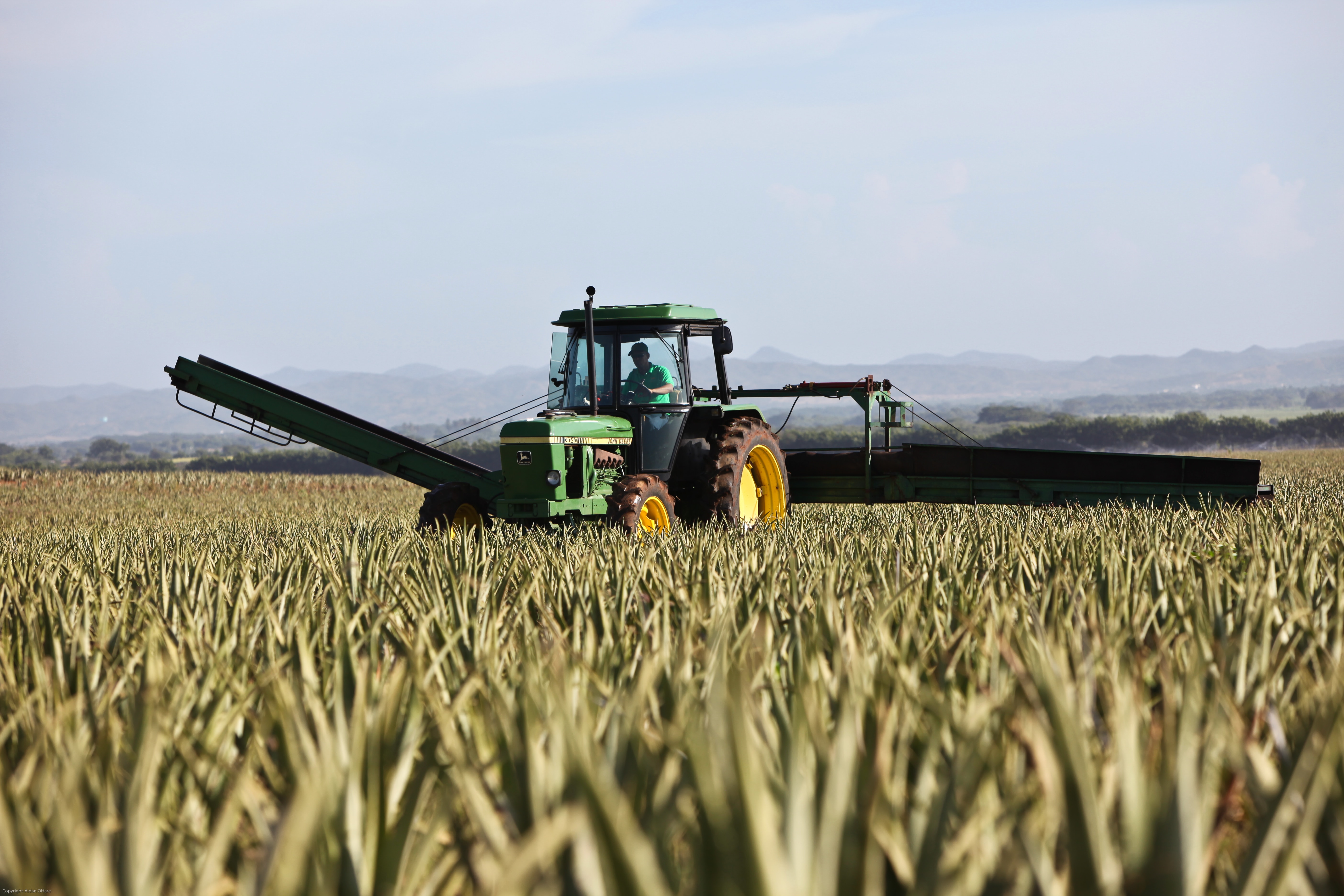 Reunión entre el Consejo Andaluz y la Dirección General de Producción Agrícola de la Junta de Andalucía Reunión entre el Consejo Andaluz y la Dirección General de Producción Agrícola de la Junta de Andalucía